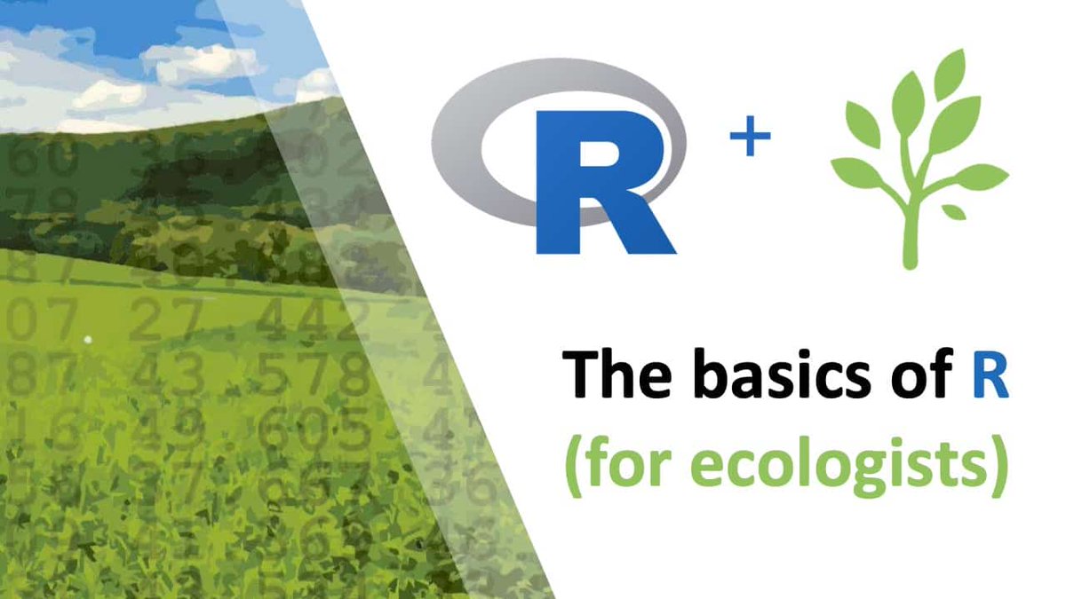 My online course on R for ecology is now OPEN! 🌿 Struggling with R? This one's for you.
 
Go here to pre-register: rforecology.com/waitlist-page/

Enrollment ends Tues May 23rd, but you'll get lifetime access to do the course in your own time and on your own schedule.

#rstats #ecology