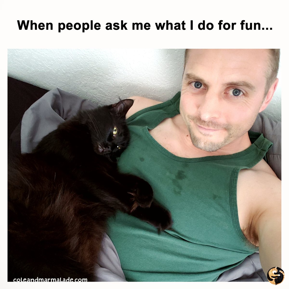 Who else is having lots of fun this weekend? 👍
#KittyTherapy #SnuggleTime #Nap #Cats