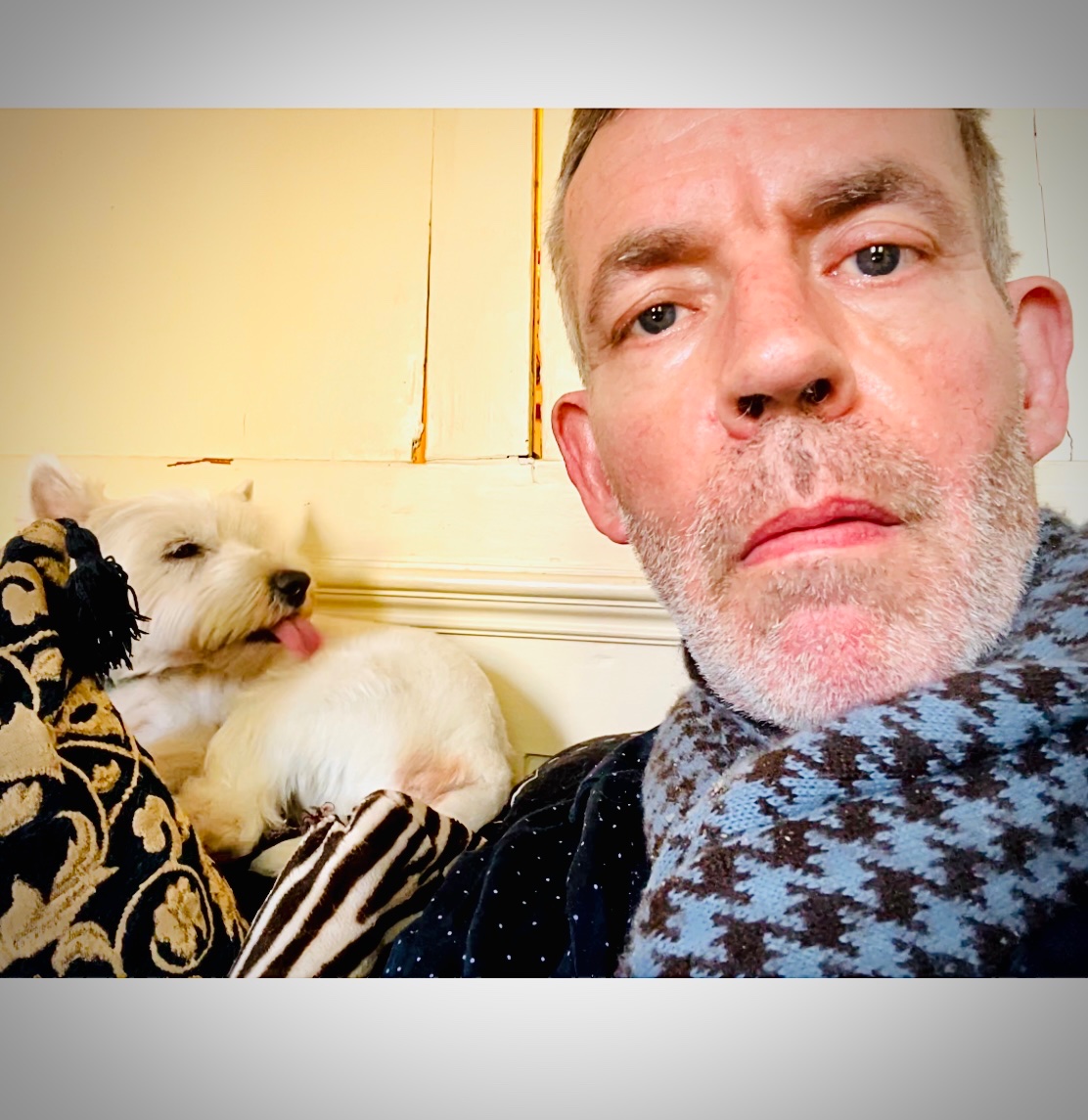 Frank Stirling (@fstirling1) on Twitter photo Pantomime dog Pantomime dog