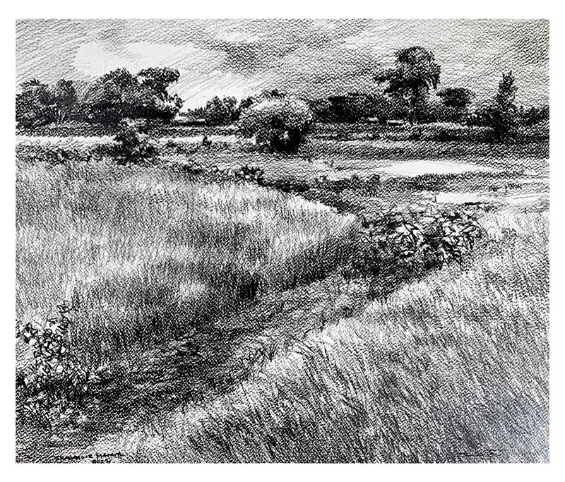 ব্রহ্মপুত্র নদের চর
Grassland' the bank of river Brahmaputra.
Sketch Art . Pencil on Paper. size- 48cm x 40cm
.
by Shahanoor Mamun
Demonstration link - youtu.be/TIOnJl2E5y4
-
#sketchart #sketchartwork #sketchartist #sketchaday #sketch #drawinglandscape #pencil