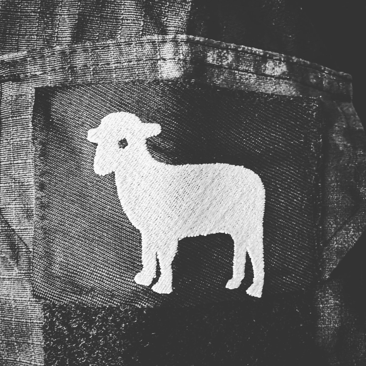 Yellowcard's tweet photo. What's in the briefcase? https://t.co/ZJOJd40Egp