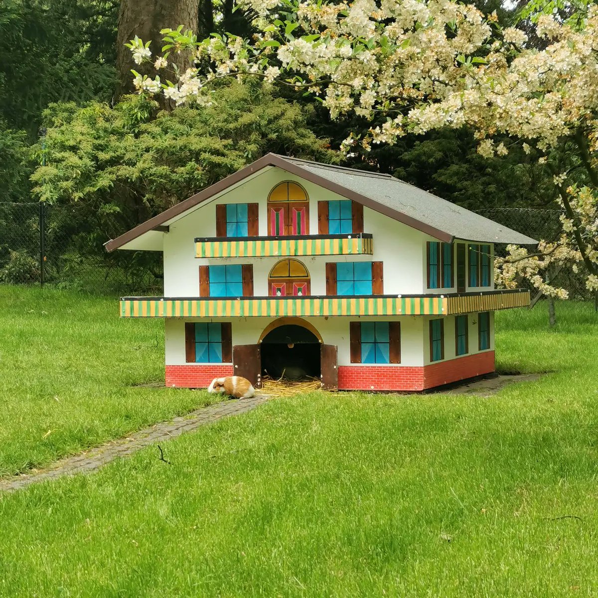 TofuFischkopp's tweet photo. Klarer Favorit: der Hausbesitzer. https://t.co/kdd2rZ7glL