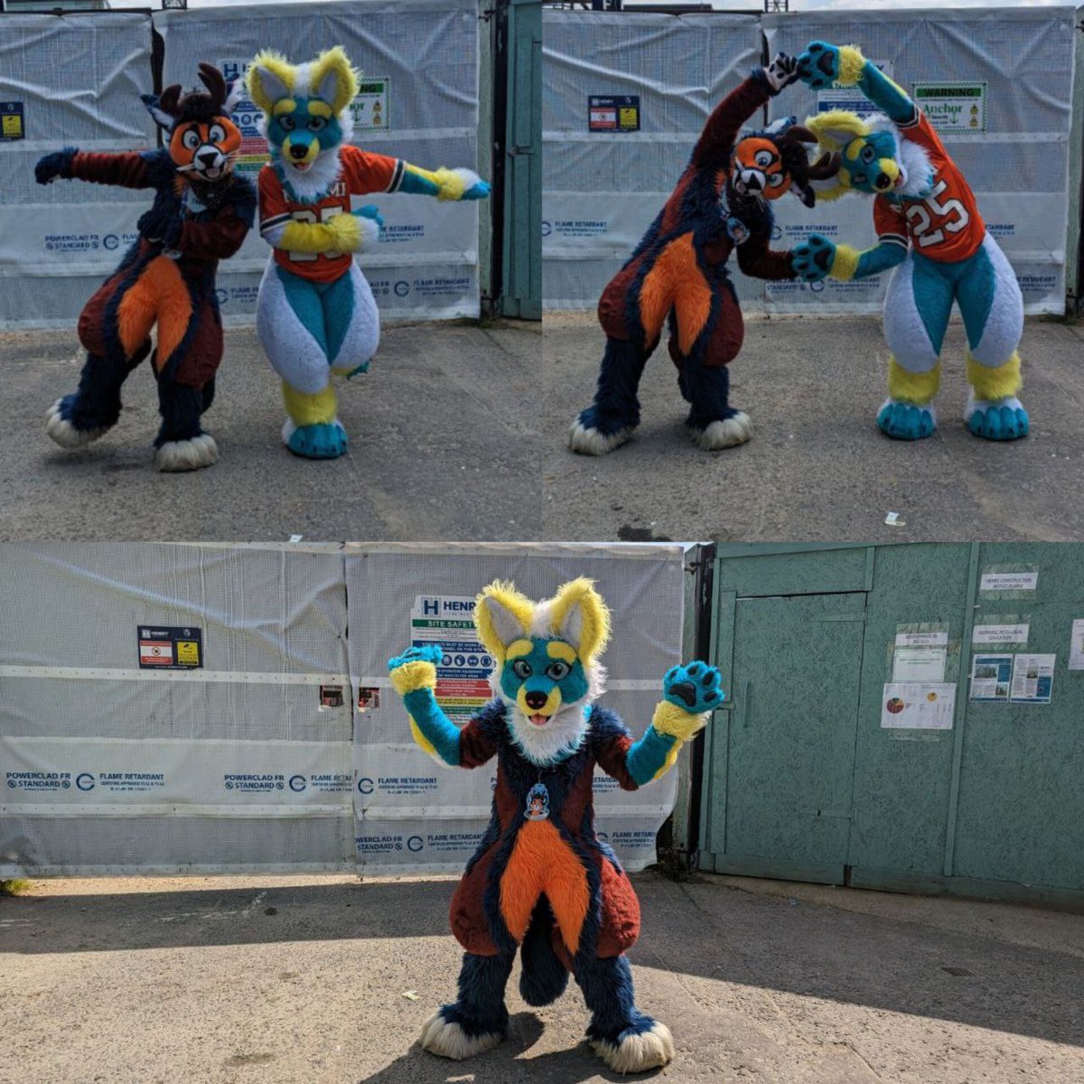 TheTriggeredFox's tweet image. Tobi,@pacerfur, together we are PACEROBI!
📸 @DexterWuskie 
#furry #furries #fursuit #FursuitEveryday #fursuiter