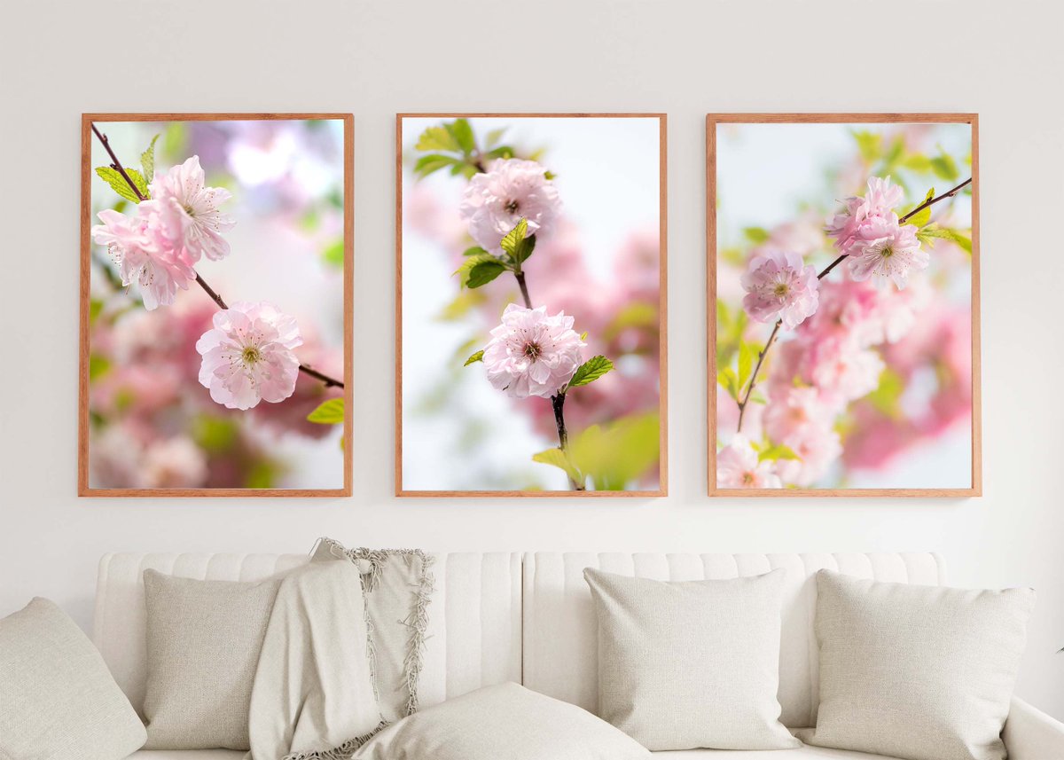 Excited to share the latest addition to my #etsy shop: Japanese cherry blossom print set digital download etsy.me/3MIZ3ut 

#pink #vertical #setofthreeprints #setof3prints #threepiecewallart #printoutposter #digitalartprints #cherryblossomart #japanesecherry