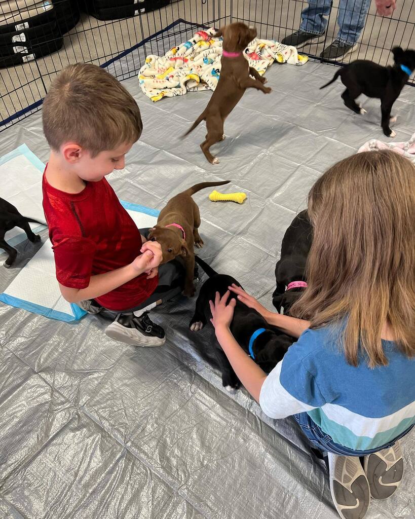 You’re invited to adopt at our Puppy Pawty at Petsense Espanola ‘til 3pm! instagr.am/p/CseOOiKu0uW/