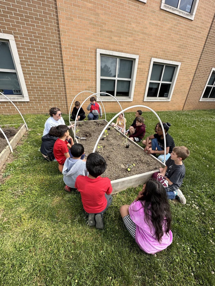 Jacky Mansour tweet media