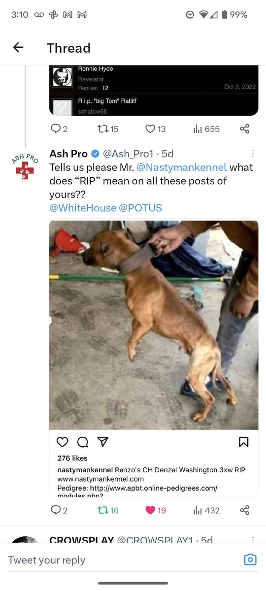 's tweet image. And yet Twitter endorses such criminality  by allowing @Nastymankennel   which openly brags that it's engaged in this bloodsport with  breeders in the U.S....Von-Coro kennel. PLEASE RT! @FBI @peta @KerriKupecDOJ @DOJPH @INTERPOL_HQ