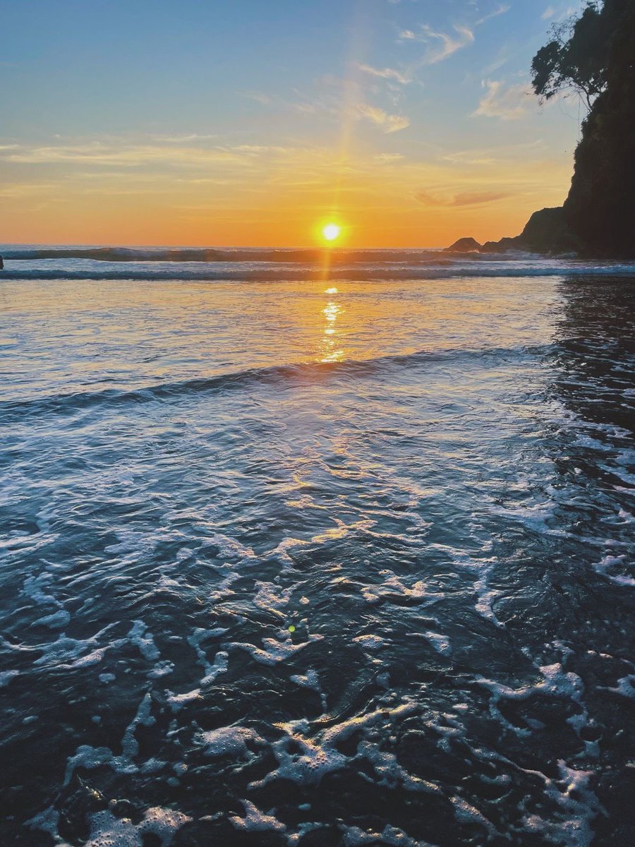 shermielynn's tweet photo. little shermaid in costa rica ✨pura vida✨ https://t.co/sRE4HoQZJP