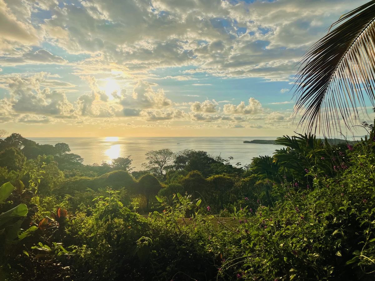 shermielynn's tweet photo. little shermaid in costa rica ✨pura vida✨ https://t.co/sRE4HoQZJP