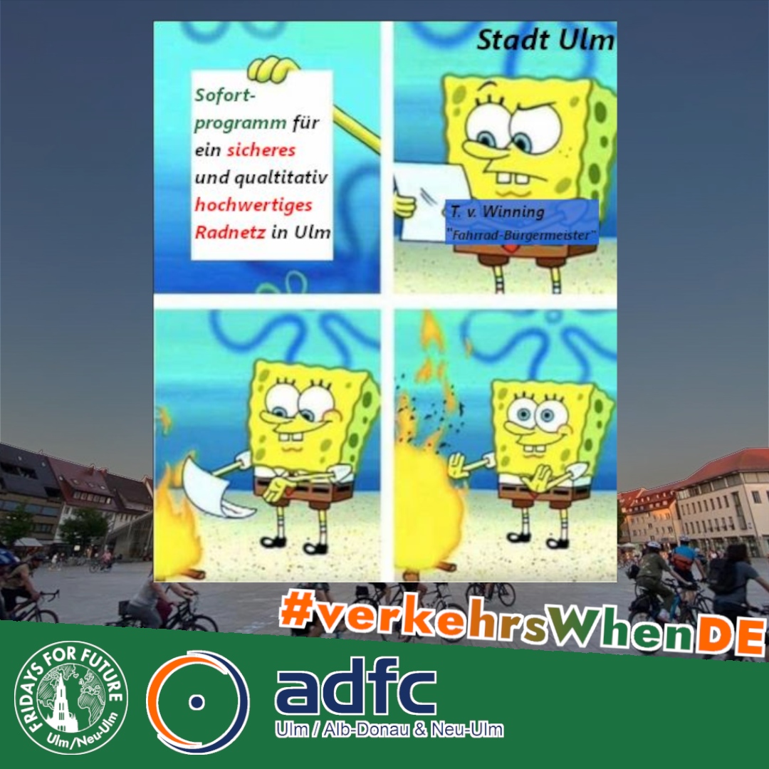 Fridays For Future (Neu-)Ulm tweet media