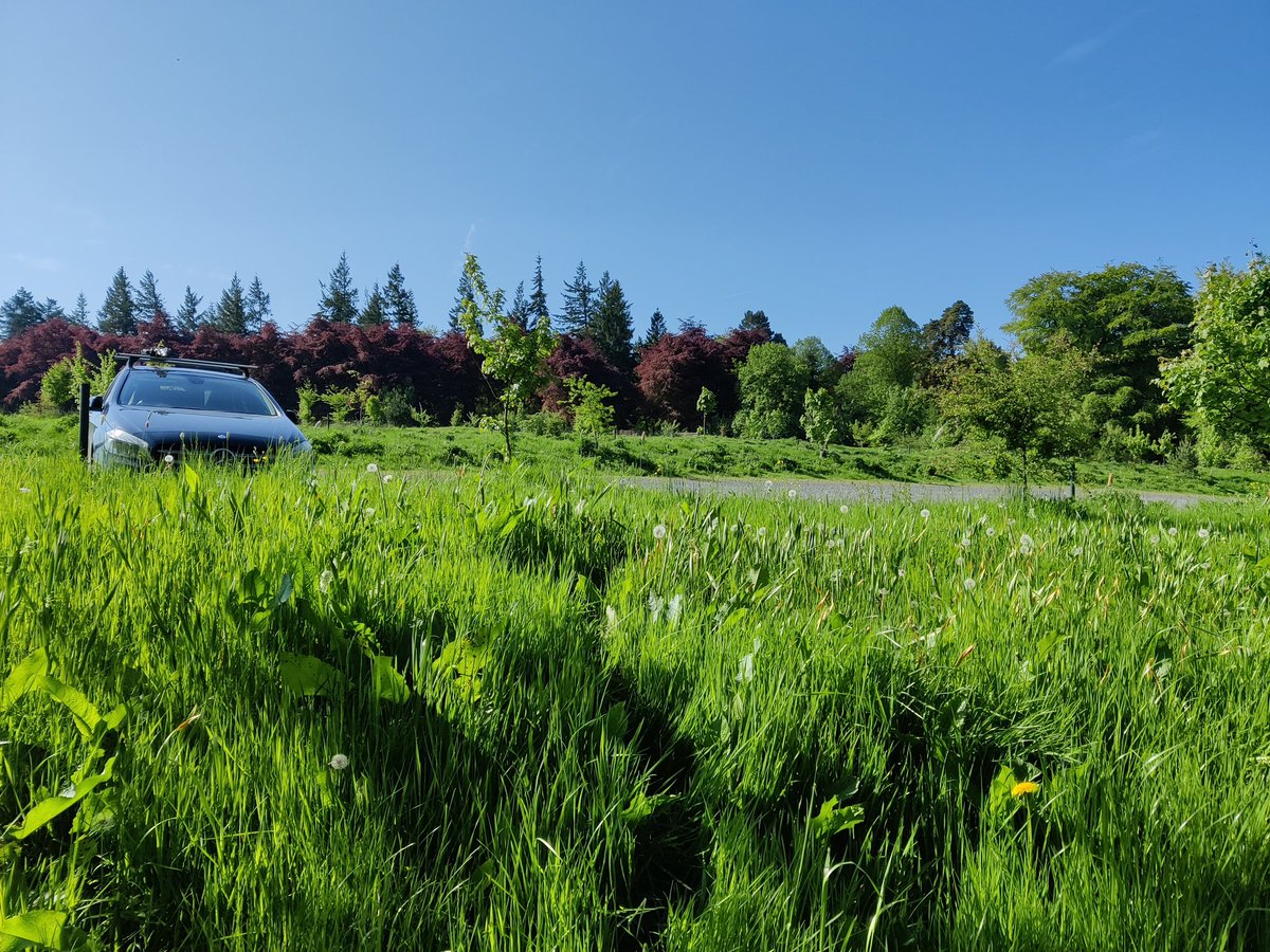 Sam Parry tweet media