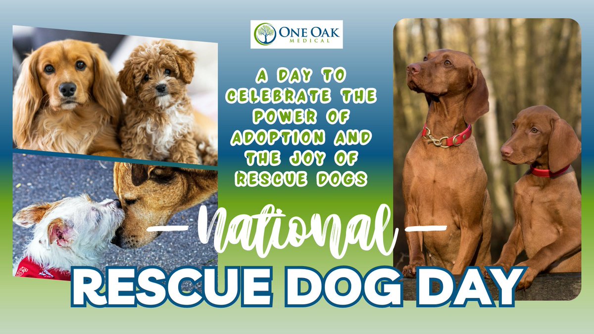 Happy #NationalRescueDogDay! 🐶 One Oak Medical celebrates brave pups who found homes forever. Hug your furry friend and share a pic. Spread love! ❤️🐾 #RescueDogsRock #AdoptDontShop #OneOakMedical