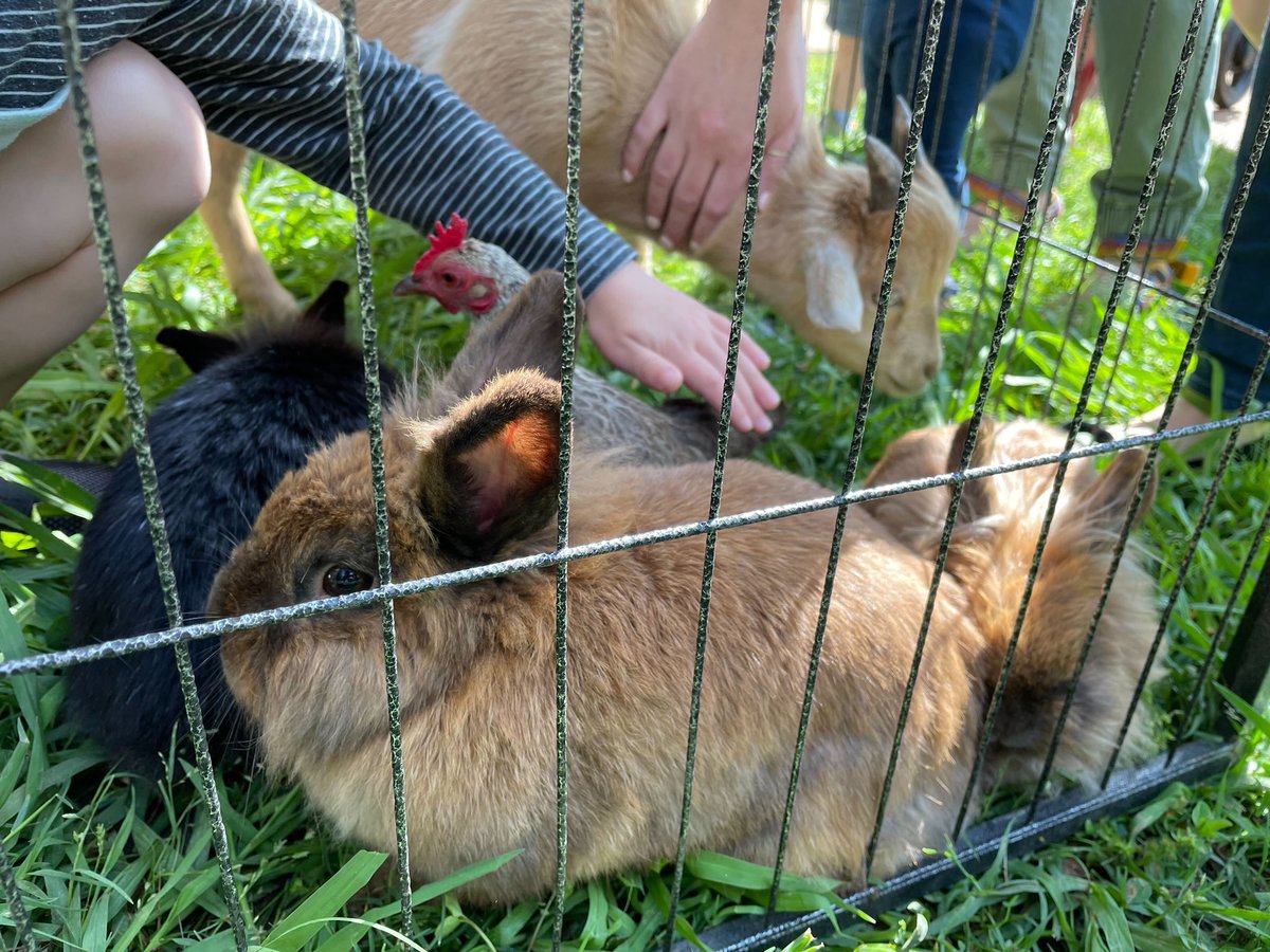 Philbrook's tweet photo. Camp Philbrook is underway! And we have a #pettingzoo, y’all! Luckily we have a Shepherdess on staff. #superfunsaturday 🐑
Activities until 2pm. Animals provided by Crazy J’s Farm and Petting Zoo. https://t.co/6QzYIiZRr5