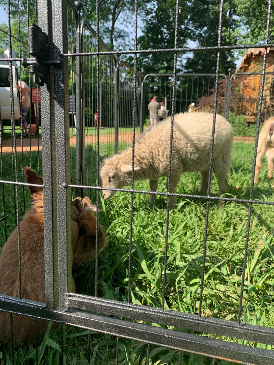 Philbrook's tweet photo. Camp Philbrook is underway! And we have a #pettingzoo, y’all! Luckily we have a Shepherdess on staff. #superfunsaturday 🐑
Activities until 2pm. Animals provided by Crazy J’s Farm and Petting Zoo. https://t.co/6QzYIiZRr5