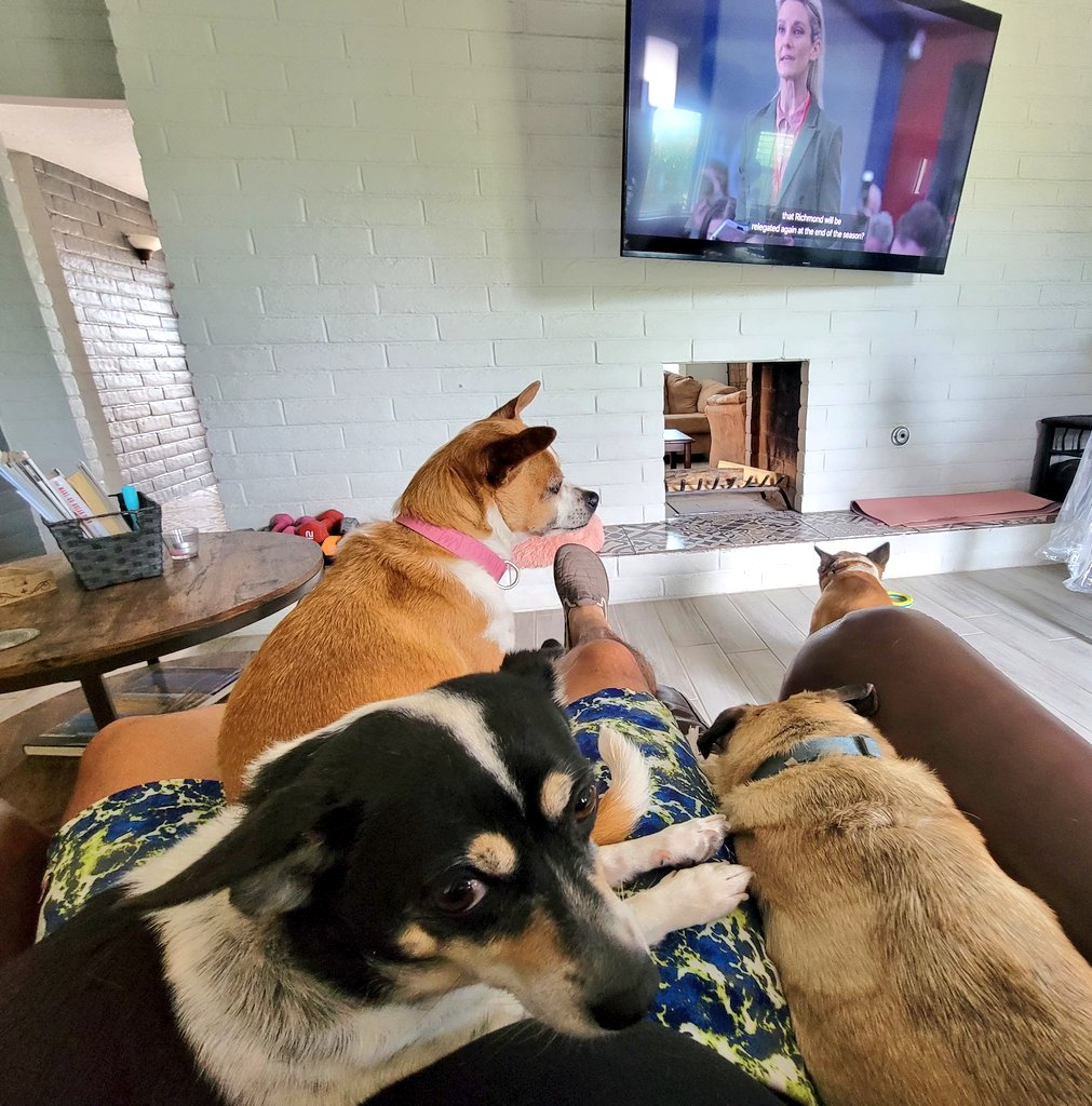 Coach_Obed's tweet photo. A rare Saturday morning at home. More of these mornings are coming soon. #TimeToLetItGo https://t.co/4KwBAzRJ91