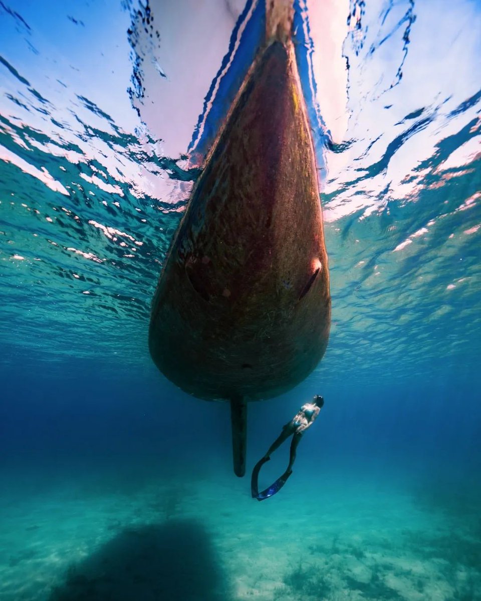 VisitMalta's tweet photo. Dive in and explore Malta's stunning coastline! 🌊🤿 [📸 https://t.co/ODlAhEsENY] #VisitMalta #ExploreMore #MoreToExplore https://t.co/UfrMupHYVQ