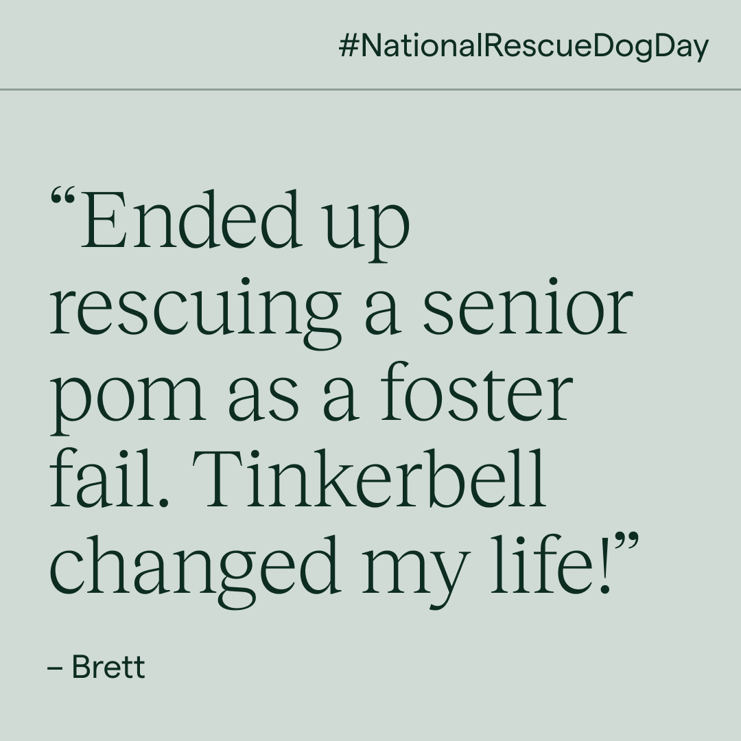 Koala Health tweet media