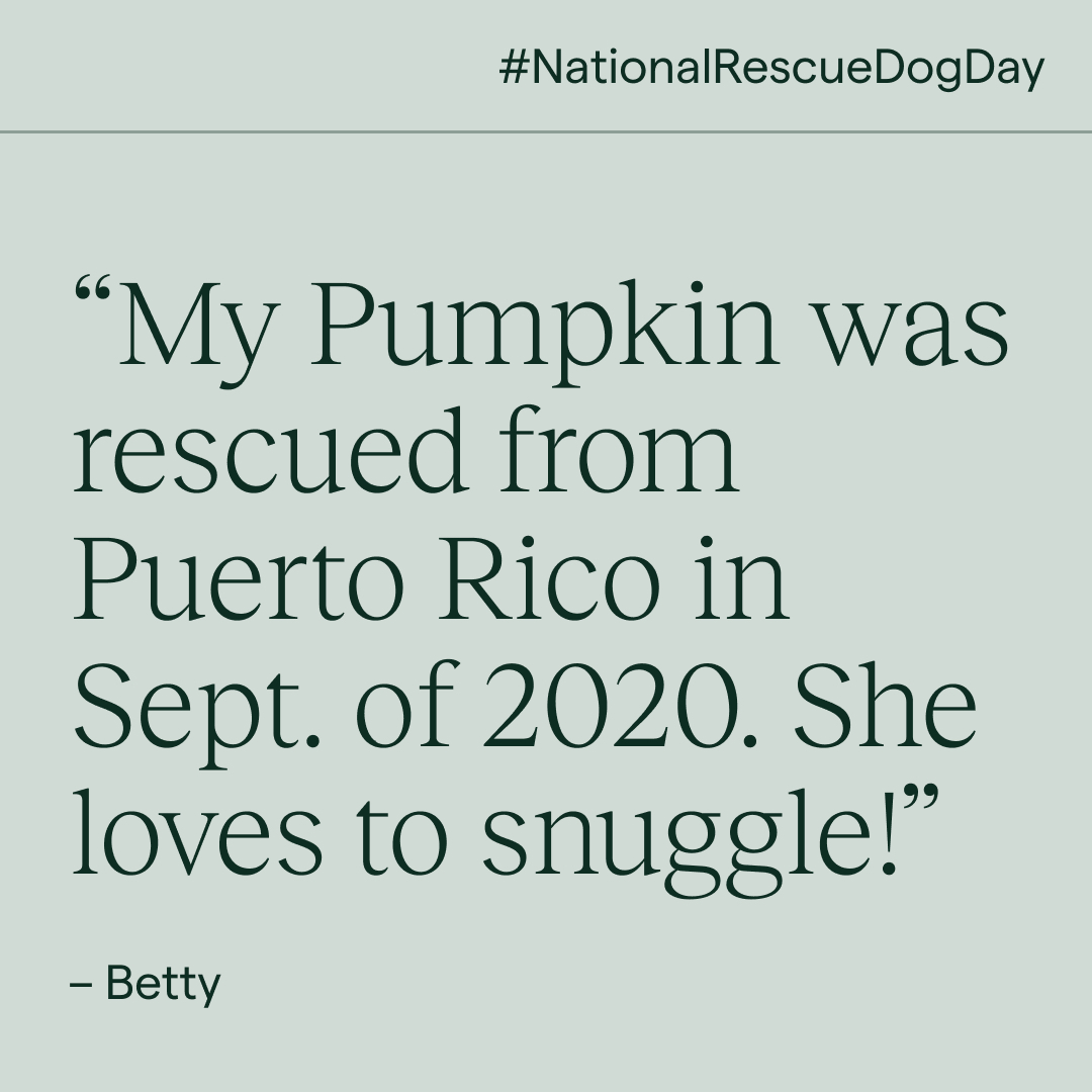 Koala Health tweet media