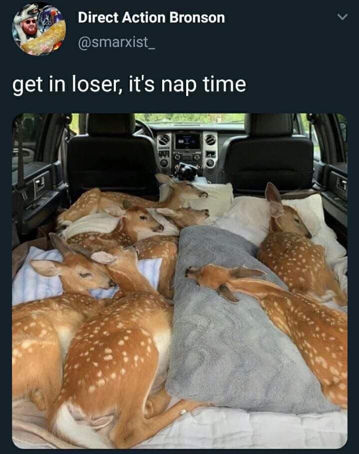 WholesomeMeme's tweet photo. Original tweet by Smarxist_ @smarxist_ https://t.co/32gTuaGKC5