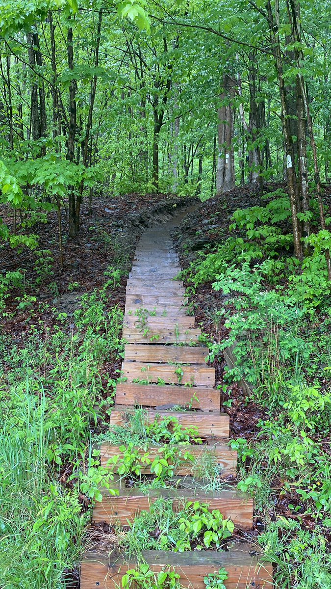 #hiking the #northcountrytrail today while #geocaching in New York. Rainy Saturday but still fun nonetheless.