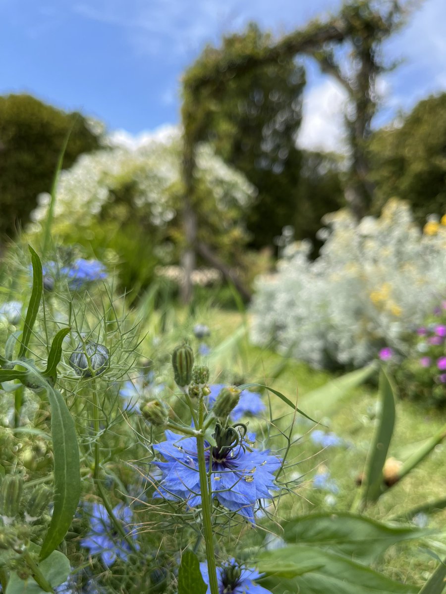 nuria_manchado's tweet image. El Parc de Cervantes és un espectacle botànic. Quina meravella 🌺✨

#Barcelona #Parcs
