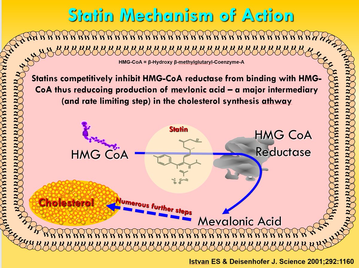 Folks need to get real - Regarding al, the nonsensical statin hysteria that keeps popping up. As an internist with 37 years of private practice on my resume, I sadly signed many death certificates with ASCVD on line 1 yet never once signed a certificate with STATIN ADVERSITY on…