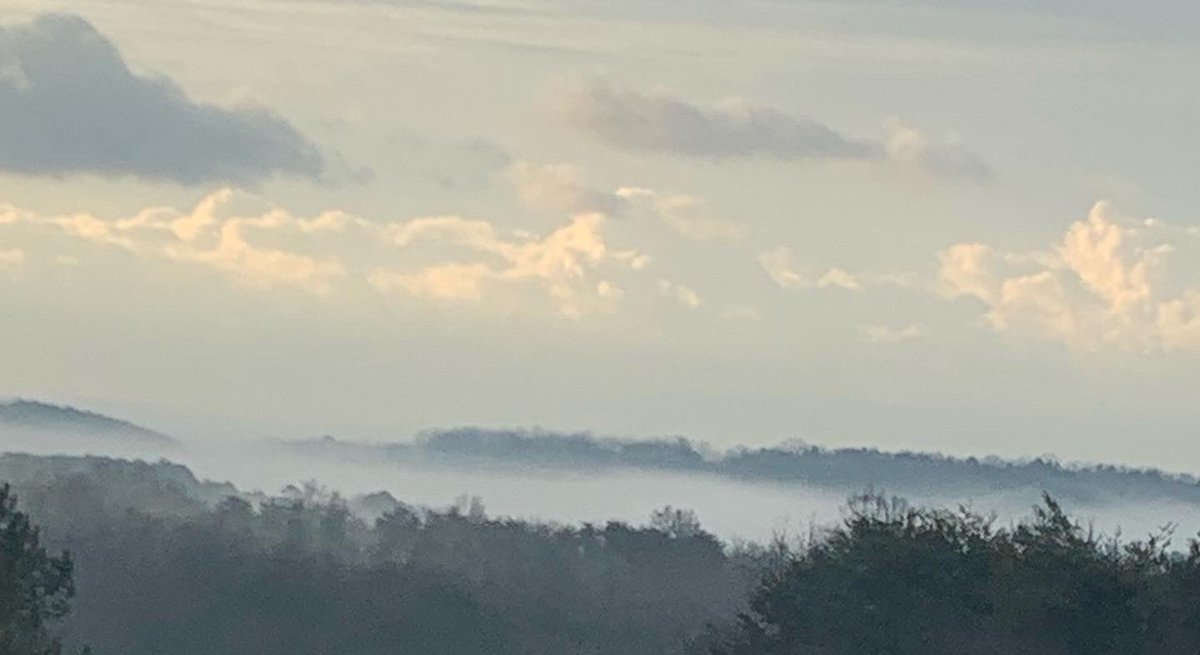 🎧 Deb ✍️ tweet media