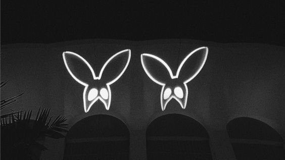 dailysdw's tweet photo. dangerous woman era, 2016 https://t.co/1Quxgp61fF