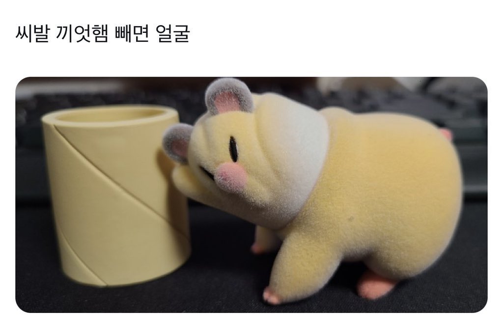 911_green's tweet photo. this hamster set is only sold by random so kfans are saying how yujin prob was praying that the secret one wouldnt come bc look at that 😭😭😭 https://t.co/mcKXuWoaHA
