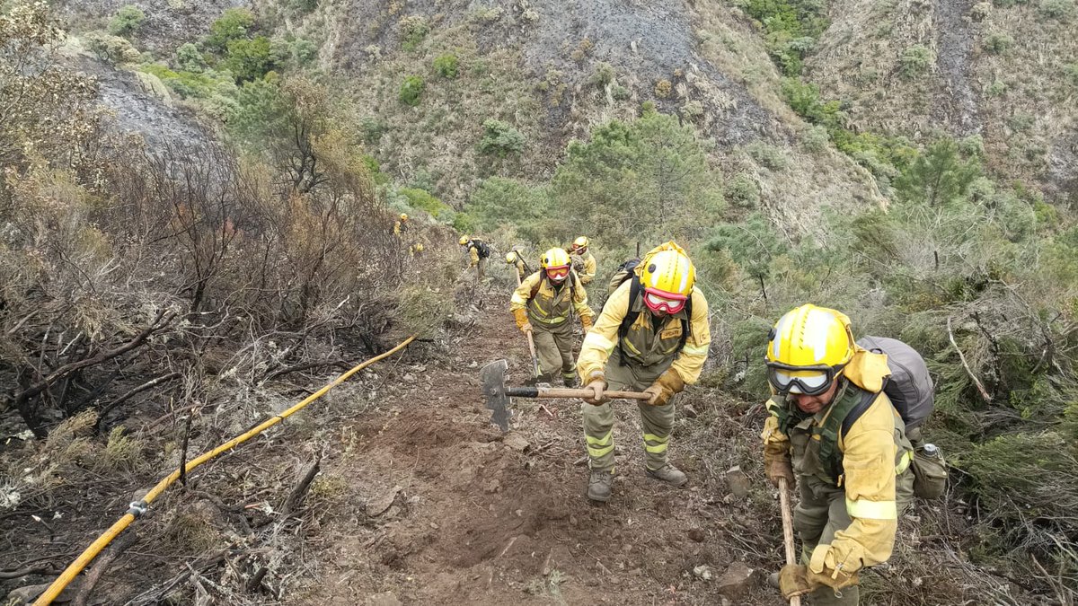 AT_Brif's tweet photo. 19:30📸#IFPinofranqueado #Cáceres

Impresionante trabajo conjunto acaban de terminar l@s👨‍🚒@brifpuertopico+@brif_iglesuela+@BRIF_PINO realizando y anclando una linea de defensa, trabajo en equipo para consolidar el perimetro del incendio.

Todo es mejor cuando lo hacemos juntos! https://t.co/m2mLb5UHFy