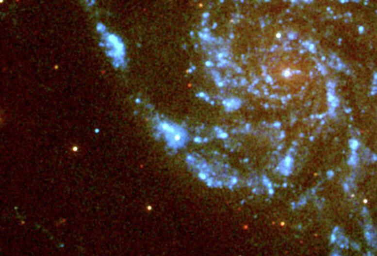 astro_dan_mil's tweet photo. The #supernova in M101 has all hands on deck, on the ground and in space. Here is an image courtesy of Peter Brown from the UVOT instrument @NASASwift. SN 2023ixf is slightly left of center. It’s so bright it’s nearly or is saturating the detector. Exciting times! https://t.co/IF9Qdgsbwf
