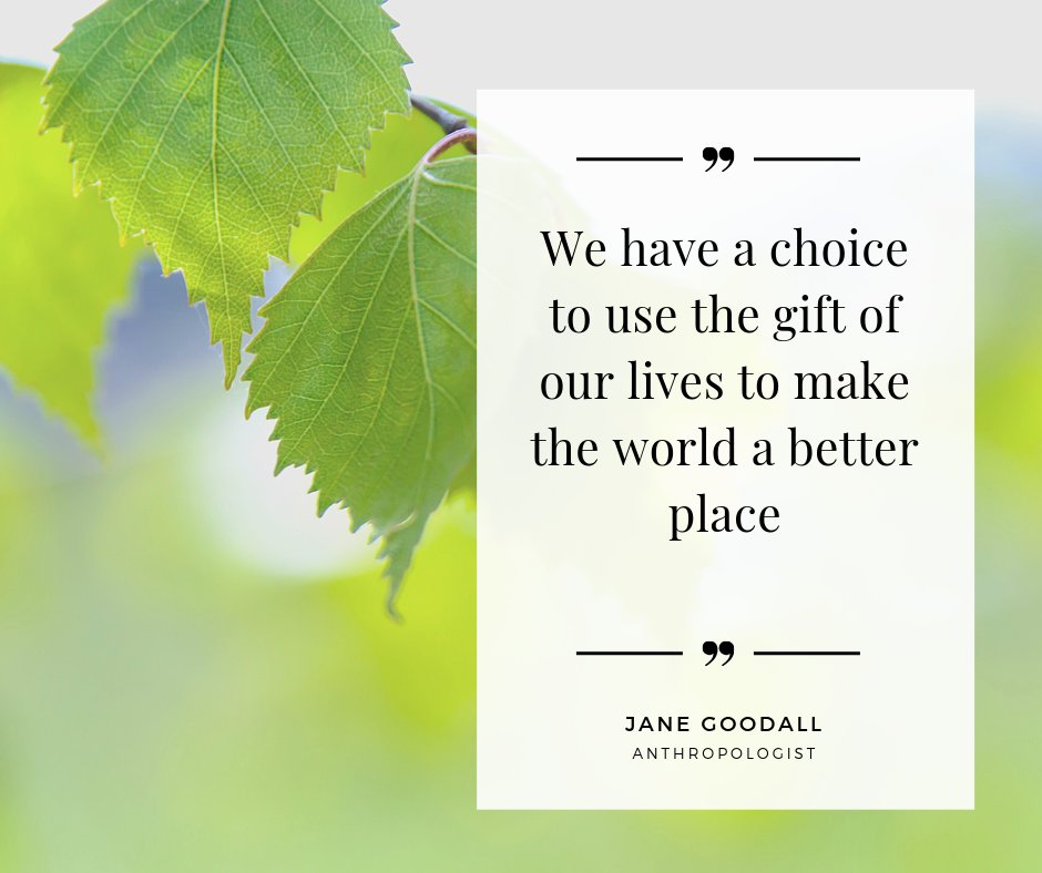 'We have a choice to use the gift of our lives to make the world a better place.' - Jane Goodall via: savwave.com