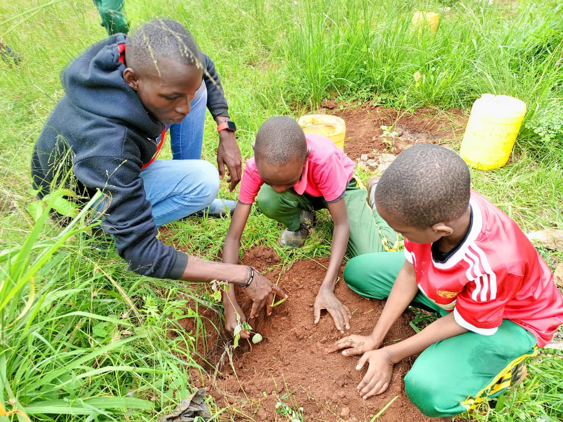 Vinnysdg13's tweet photo. Most definitely, one vital importance of #trees to our #ecosystems is  temperature modification, thus creates microclimate conditions ,
Let embrace tree planting to fight against climate change.  #Towardsgogreen 🍏#sdg13 #WorldEnvironmentDay2023 #climateaction4life  #eayn https://t.co/gGJBMhOza6