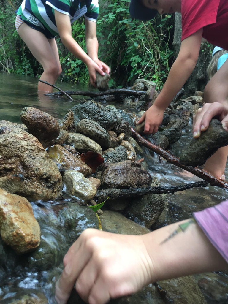 SwainswickExpl's tweet image. There an Explorer Day to coincide with Bathford, Bathampton and St Saviours schools INSET days on 5th June, to provide childcare. We have a few places left. Book places for your children here. swainswickexplorers.co.uk/events mailchi.mp/swainswickexpl…