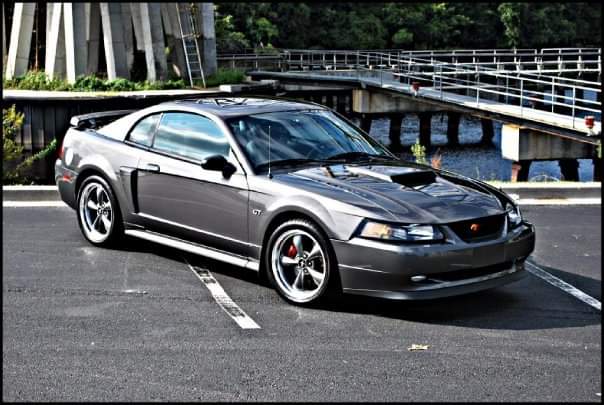 MBMustangWeek's tweet photo. Where is your favorite spot to take photos in the Myrtle Beach area?   I like the swing bridge behind barefoot landing, on the inner-coastal waterway.  

#mustangweek #mustang #fordmustang #powerautomedia

Register your car for Mustang Week: https://t.co/RXwk8p1kx9 https://t.co/zl1HF7JY6U