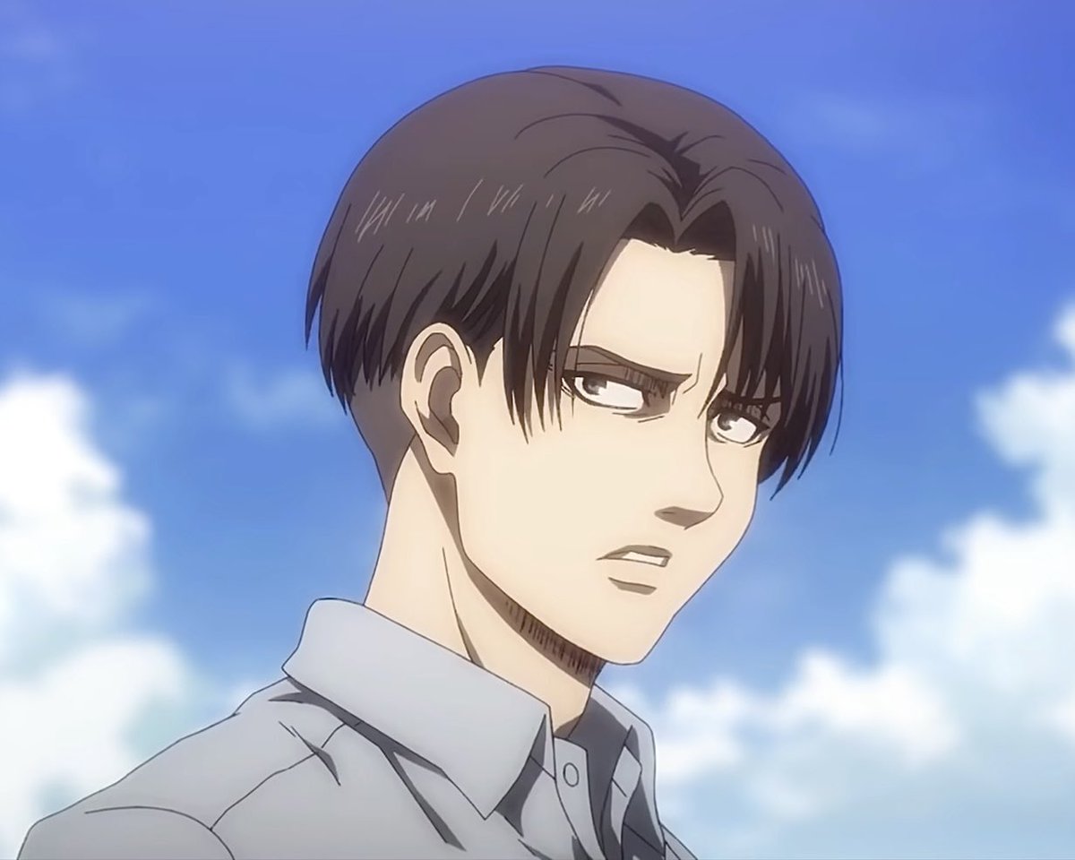 levi archives tweet media
