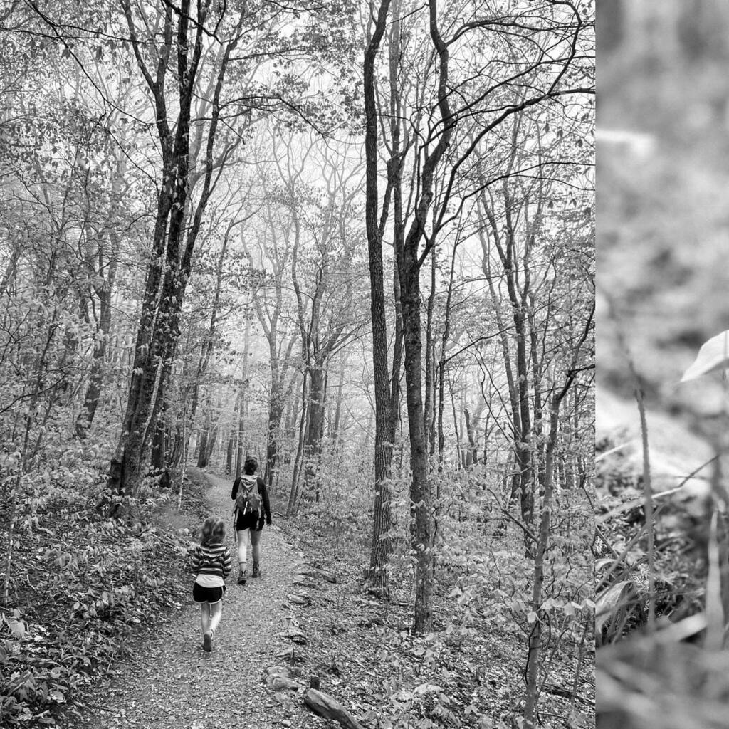 Mother's Day part two. 

(A week late)

When Emily said she wanted to go hiking on Mother's Day, you know I didn't complain. 

Elk Knob State Park was socked in with fog and we basically had the entire place to ourselves. This was our third time there an… instagr.am/p/CseUTqjxv3t/