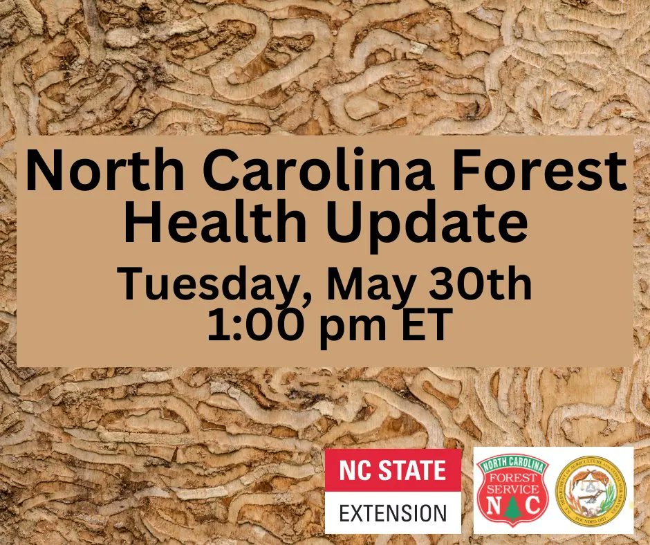 NC Forest Health Update 
Webinar Date: May 30, 2023
Webinar Time: 1:00 PM ET
forestrywebinars.net/webinars/north…  

#ForestHer #ForestHerNC #Forestry