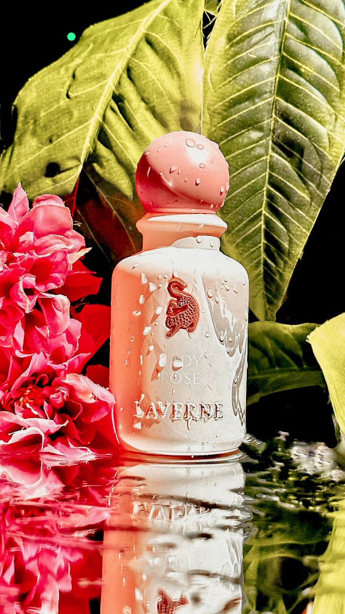 laveryPerfumes's tweet photo. #عطور لافري
أفضل العطور لكل الأوقات
 عطور تطلق جناحيك في العنان https://t.co/DYiKiFKiZX