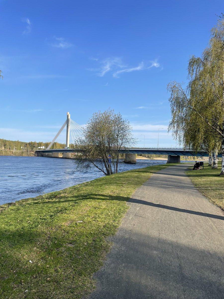 TerhiWimmer's tweet photo. Napapiiri on puhjennut kukkaan. KesÀ tuloillaan myös tÀnne. #rovaniemi #lappi #lapland #visitrovaniemi #visitlapland #napapiiri https://t.co/cLutYn331b