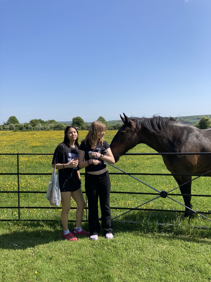Boarding | Cobham Hall tweet media