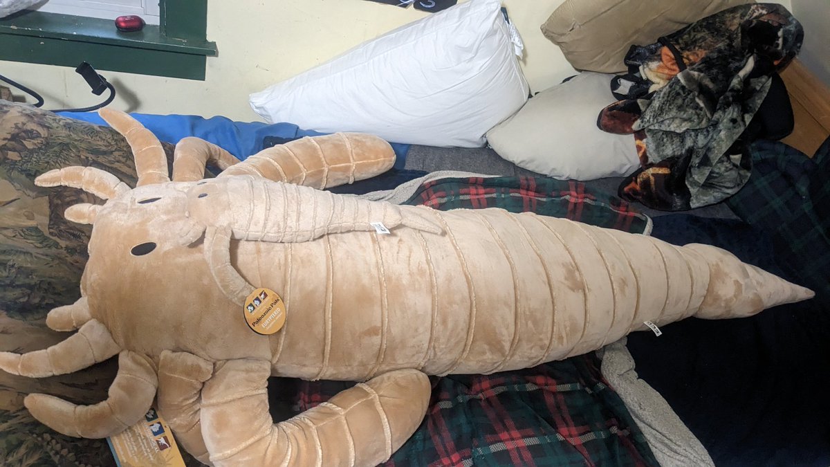 Primal Creations tweet media