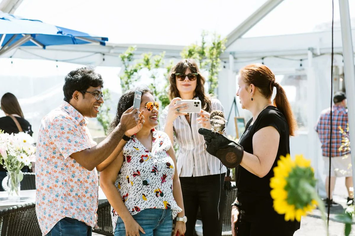 Adelsheim Vineyard tweet media