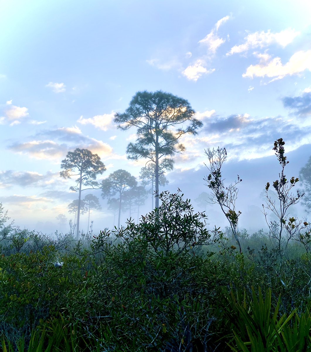 Eden Sunshine tweet media