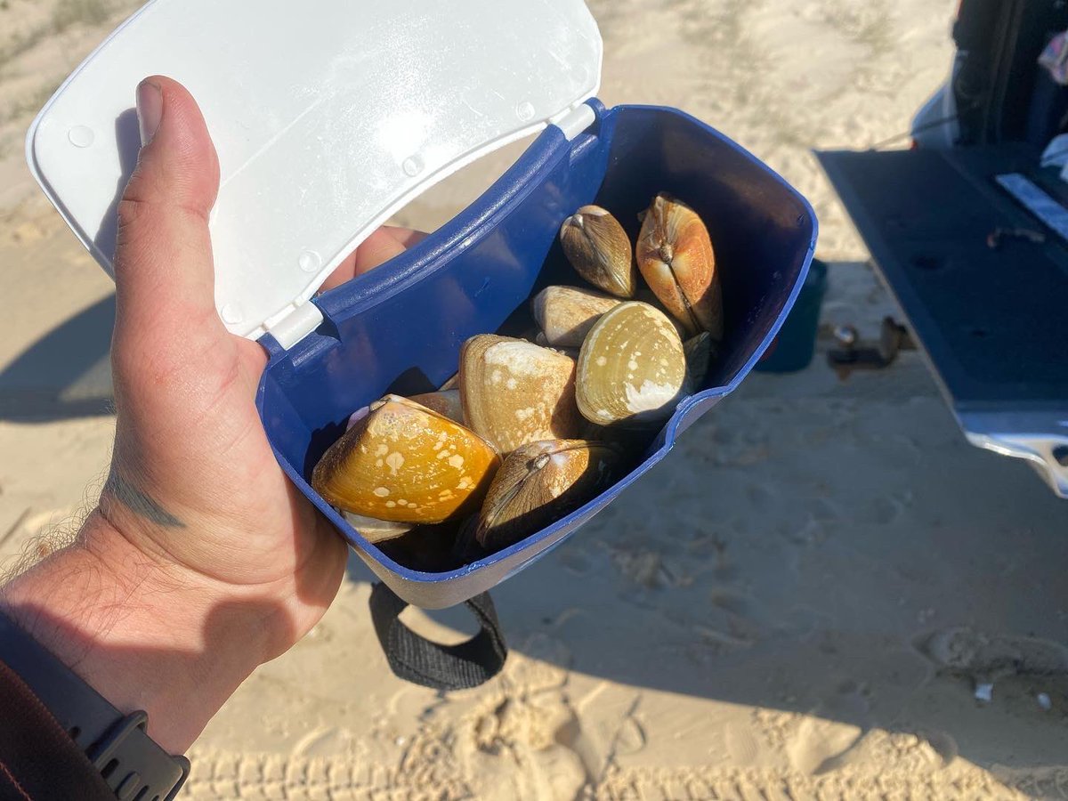 theRealShooKon3's tweet photo. GOOD MORNING! DAY 3 NON STOP STREAMING SUBATHON IS UNDER WAY! WE GOT PIPPIS, BEER &amp; VIEWS COME KICK IT! https://t.co/J9kXIXvoFm #aus #fraserisland #australia #twitch https://t.co/mmNuuvrXiN