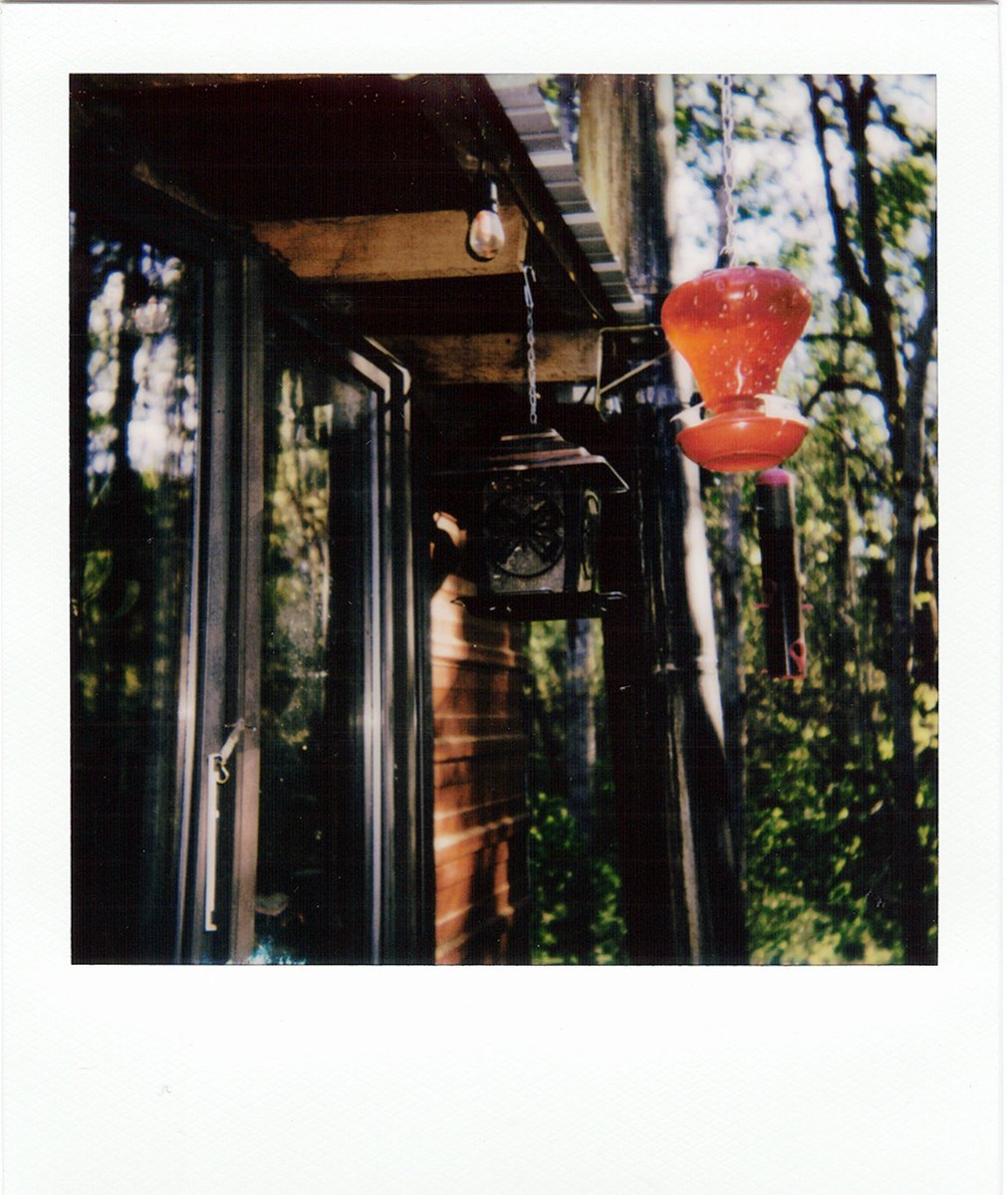 Decided to go and take some pics with the polaroid I got. Loved how they turned out.