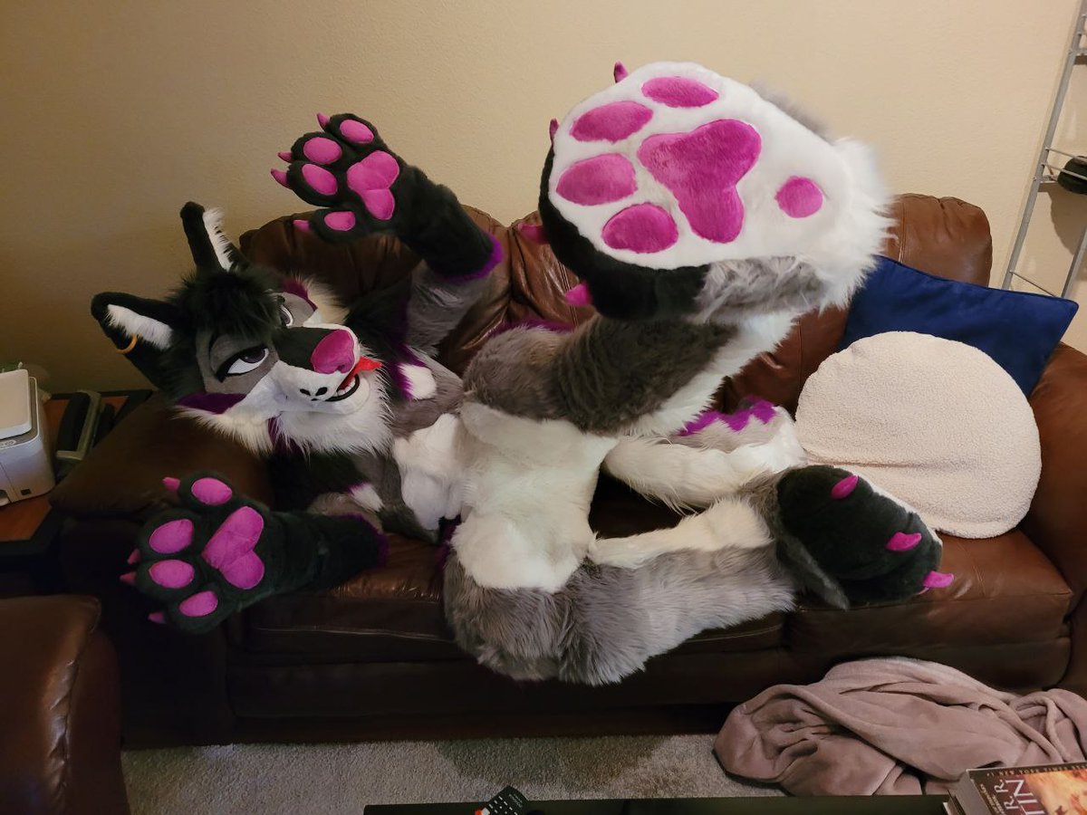 So it's #PawDay ? Come here for a big ol snug! 🤗

📸 ~ @IsMuddle 
🧵 ~ @TwistedLeopard