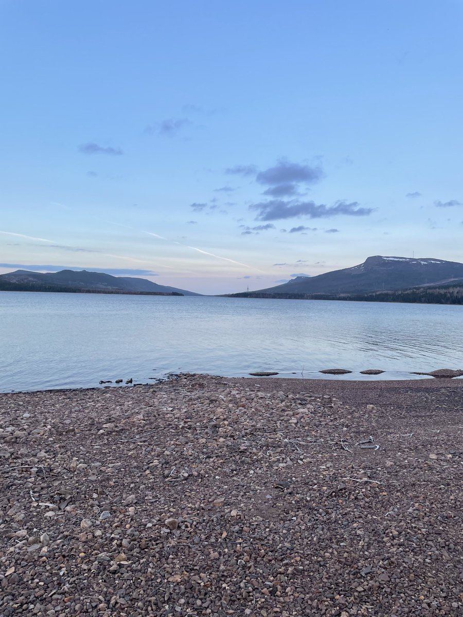 Kevin McCarthy tweet media