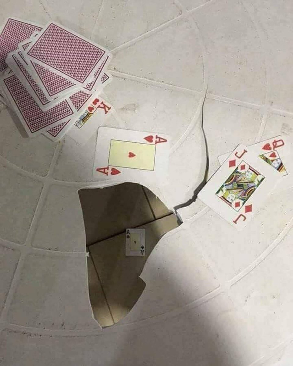 diojorange's tweet image. 