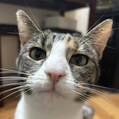KilometroOtto's tweet photo. #NewProfilePic https://t.co/O6PItPnEJ8